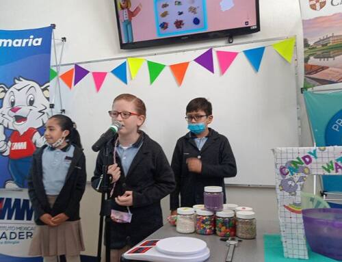 Science Fair projects in Elementary School IMM Centro and Zavaleta