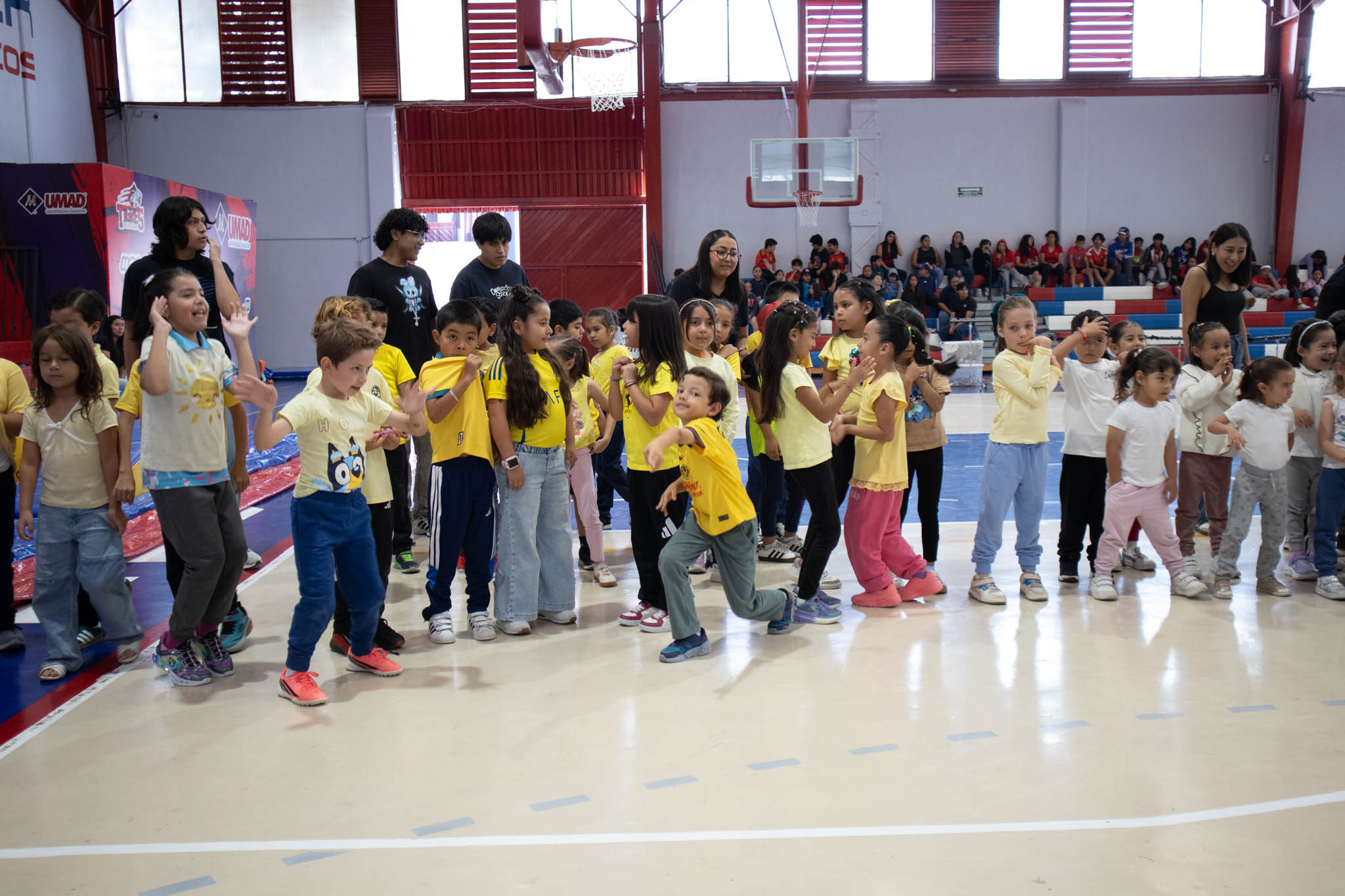 Tiger Camp UMAD cierra un verano lleno de aprendizaje, diversión y nuevas amistades